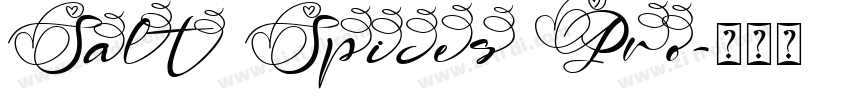 Salt Spices Pro字体转换